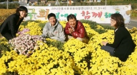 국화의 고장 안동 봉정사 진입로 테마공원·포토존 조성
