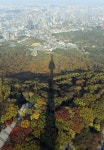 울긋불긋 남산 위 N타워 그림자