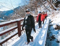 농촌 개발 롤모델 괴산