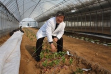 [2013 사람 & 희망] <4> 종자 명장 박동복 제일종묘농산 대표