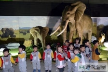 아프리카 대탐험 인기