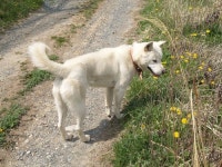 얼음골 사과농장에서 만난 20대 처녀농부 눈길