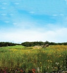 꽃 향기 가득한 봄이 절정인 코스 속으로