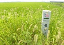 종교성지가 오종종 모인 전북 둘레길 순례… 뒤돌아볼 만한 풍경은 적어도 나를 되돌아보게 하는 길