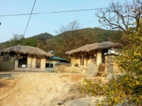 하얀 민들레 마을서 추억여행을