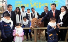 다문화가족에 송아지 선물