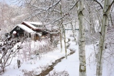 강원 횡성군 자작나무숲 미술관