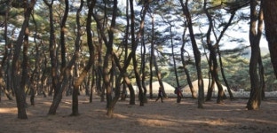 천년의 영광, 천년의 망각… 그 위로 내리는 묵직한 저묾