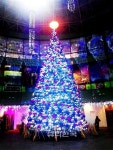 2013 메리크리스마스! 세계의 축제, 각국의 크리스마스트리는?
