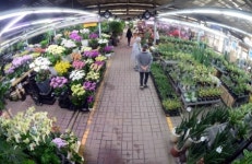 [Cover Story] 경조사용 화환 어디로 가나