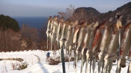 [채널 선택 2월 13일] 한국인의 밥상·좋은 친구들