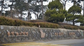 녹두장군의 외침 지켜본 그때 감나무는 없지만 그래도 가보세 가보세