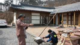 원추리 나물 공동 출하하고 체험관·숙박시설까지 운영