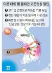 고기압 영향으로 서쪽서 온기류… 17일까지 초여름