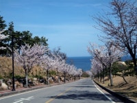 [WORTH YOUR MONEY THIS MONTH] 대한민국 7번 국도의 보물