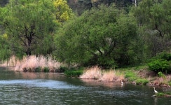 [여행] 꽃이 된 산사에서 마음의 흙먼지 떨어내다