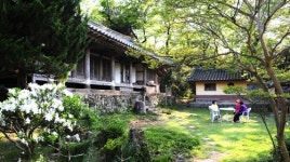 [여행] 푸근한 옛집 안마당…시름도 잊었다