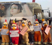 얼짱 닭 치킨맨 팬 카페도 등장