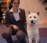 진돗개 드디어 국제공인