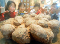공룡도 새처럼 둥지에 알을 낳았대요!
