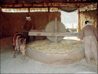 [타임머신 민속기행] 방아