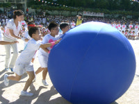 [비둘기 새소식] 중화 초등학교 外