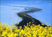 추석연휴, 모세의 기적 보러갈까