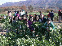 [비둘기 새소식] 구남, 1교1촌 자매 마을로 농촌 체험 학습 다녀와