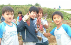 [비둘기 새소식] 대길, 고구마 캐기 체험