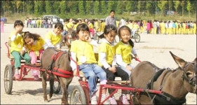[비둘기 새소식] 동자, 경필 쓰기·글짓기 대회 外