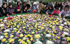 꽃 내음 솔솔… 나비가 훨훨… 식물원·허브 농원으로 가자!