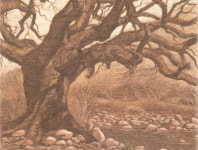 [화제의 책] 당산 할매와 나