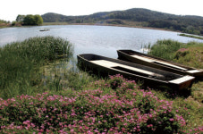 [떠나자! 현장 체험 학습] 창녕 우포늪