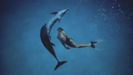 꾸미지 않은 감동, 마음으로 보세요