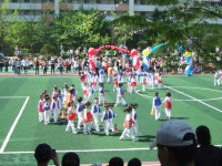 [비둘기기자 새소식] 스카우트 대원 학교 앞 도로에서 교통 안전 캠페인 外