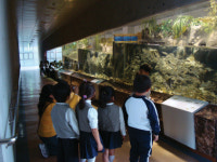 [교과서 밖 여행] 섬진강 어류 생태관