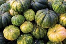 [교과서 밖 여행] 용인 호박 등불 마을