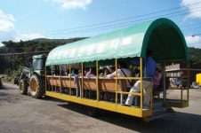 [교과서 밖 여행] 용인 호박 등불 마을