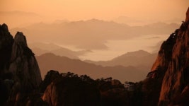 궁금하면 TV 보세요