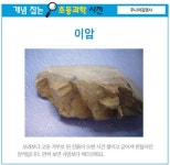 [개념 잡는 초등과학 사전] 이암