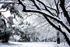 서울 초등사진교육연구회 청영회 사진전, 12일까지