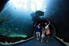 수족관·동물원, 다 있네!