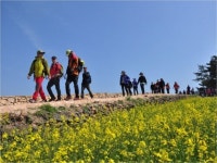 싱그러운 봄 길, 상큼한 발 길!