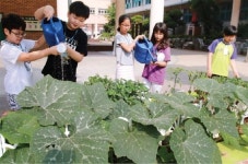 [앞서가는 우리 학교] 칭찬이 울려퍼지는 서울 자양초등