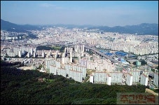 안양은 꿈과 기상 심는 텃밭