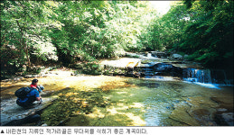 [여행] 옥빛 강물에 풍덩… 스트레스 훨훨