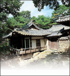 [종가기행 48] 豊山 柳氏 謙菴 柳雲龍(풍산 류씨 겸암 류운룡)