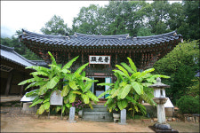 [여행] 경상북도 상주… 삼백의 고을로 떠나는 풍성한 가을여행