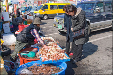 경상북도 영덕, 눈과 입이 즐거운 맛있는 겨울여행