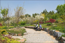 용인시 한택식물원 봄엔 야생화로 뒤덮히는 환상의 식물나라